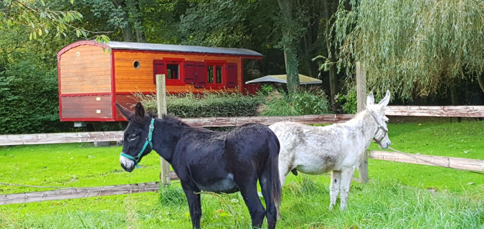 La Fermette Des Ramolleux Villa Crecy-en-Ponthieu Ruang foto