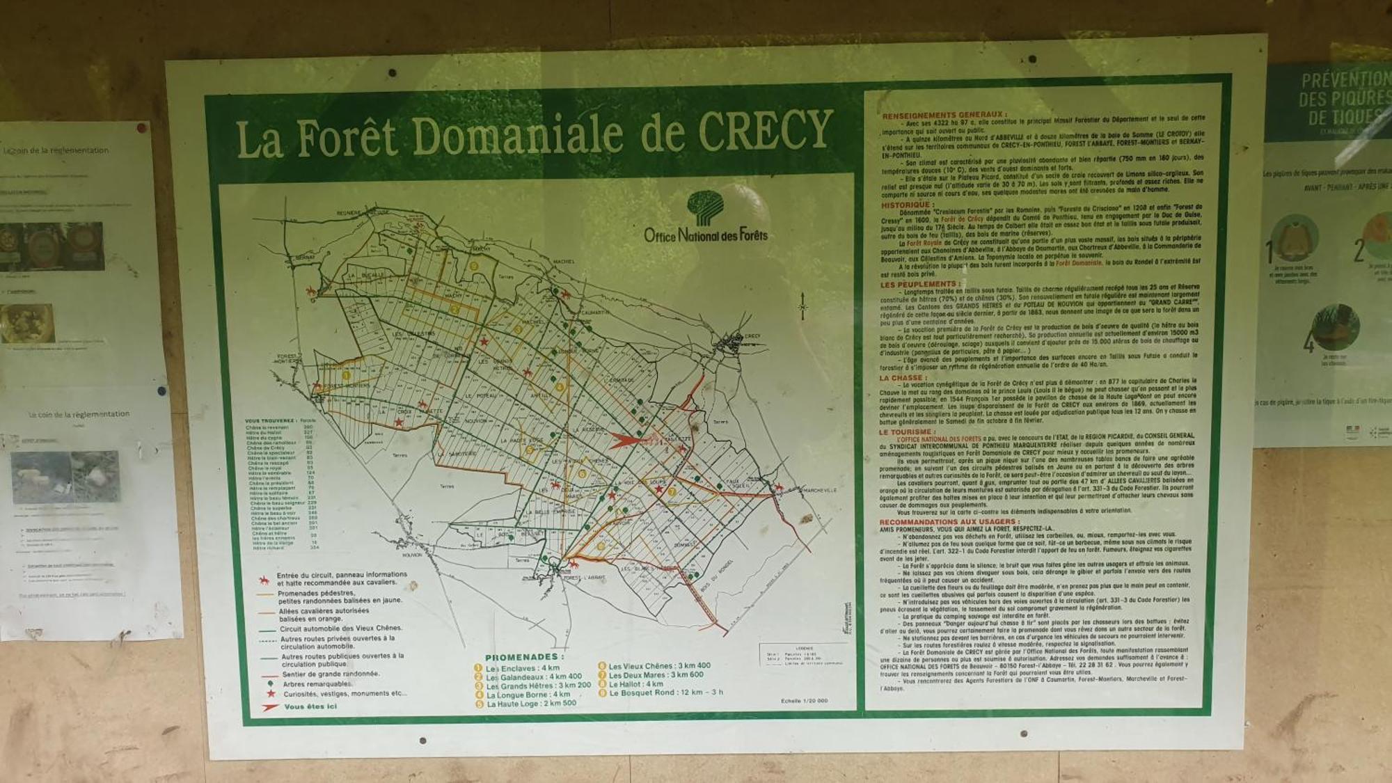La Fermette Des Ramolleux Villa Crecy-en-Ponthieu Ruang foto